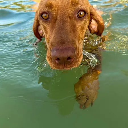 Mirabella Campingplatz Zamárdi