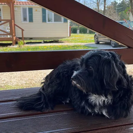 Mirabella Campingplads *