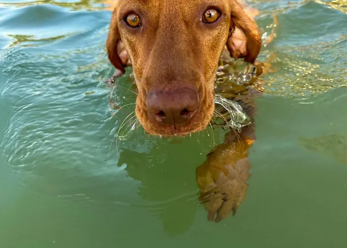 Mirabella Camping Zamárdi
