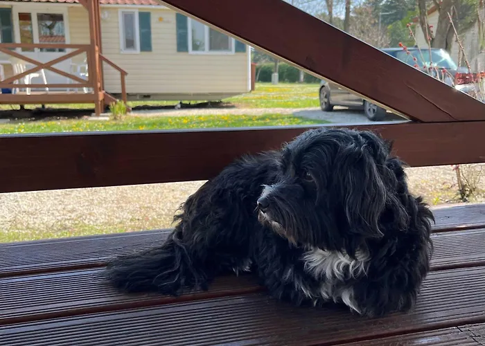 Mirabella مكان تخييم *