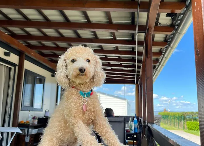 Mirabella مكان تخييم